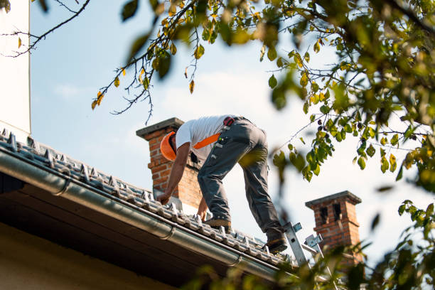 Best Best Roofing Contractors  in O, MI