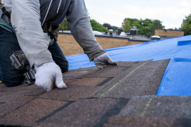 Trusted Mio, MI Roofing Contractor Experts