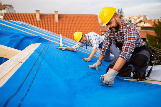 Best Roof Leak Repair  in O, MI