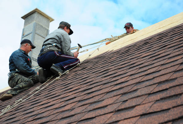 Best New Roof Installation  in O, MI